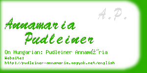 annamaria pudleiner business card